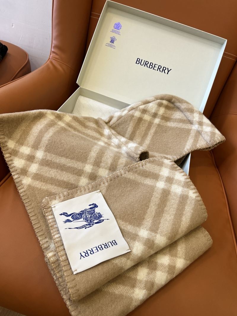 Burberry Caps Scarfs